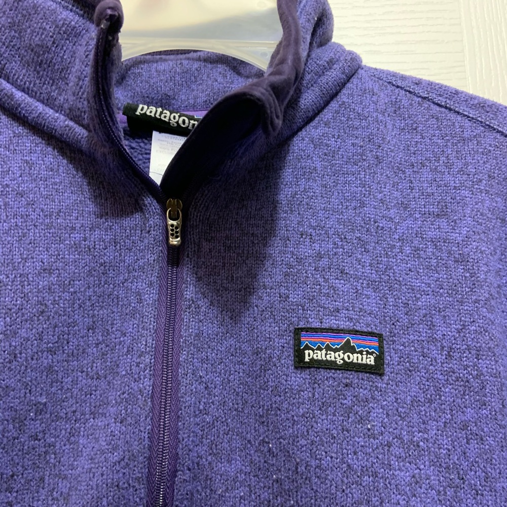 Purple Patagonia pullover